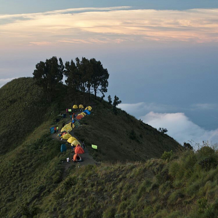 Rinjani Lombok Trekking